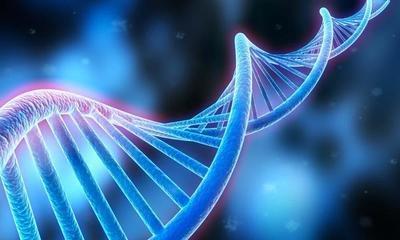 DNA亲子鉴定样本